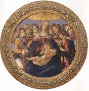 Sandro Botticelli Madonna and child with six Angels or Madonna of the Pomegranate oil painting reproduction